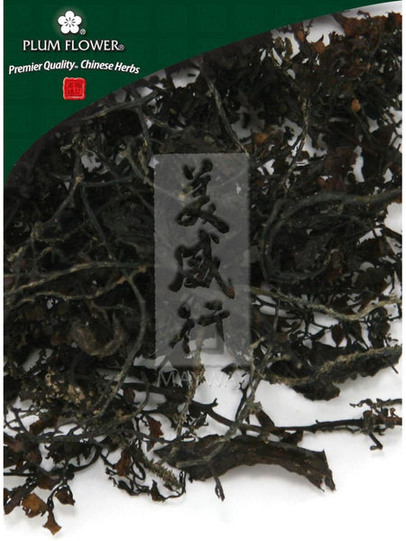 Sargassum pallidum herb, Whole Herb, 500 grams – Chinese Herbs Direct